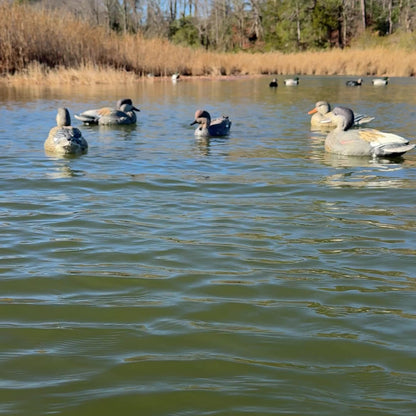 Decoy Doctor Drop Line