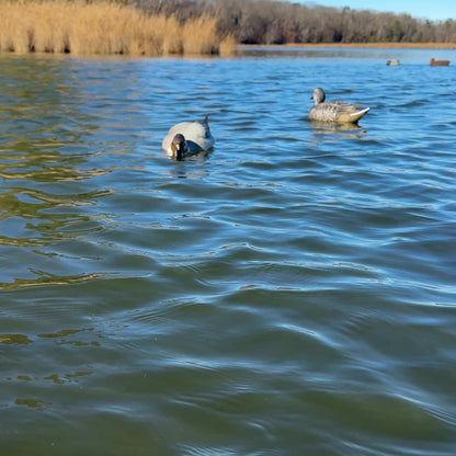 Decoy Doctor Single Tow Bar